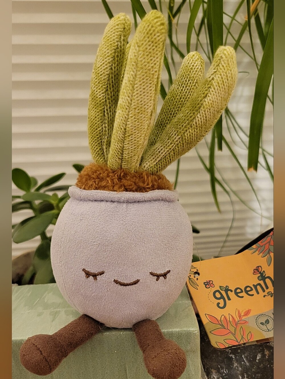 NWT Greenhouse Succulent Plush